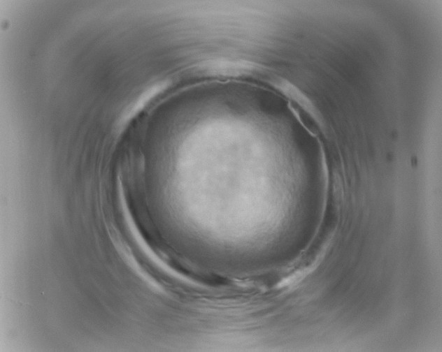 X0000066000581200603172207