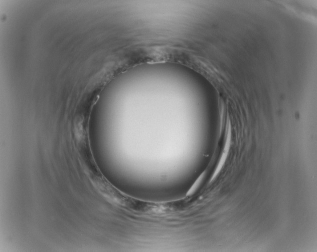 X0000066000611200603172207