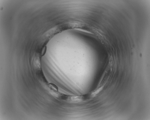 X0000066000622200603172207