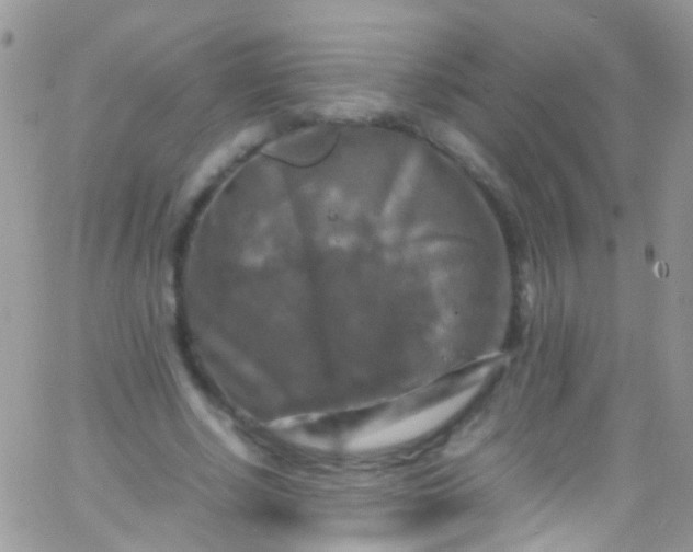 X0000066000634200603172206