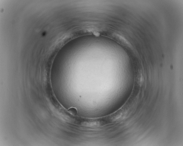 X0000066000639200603172206