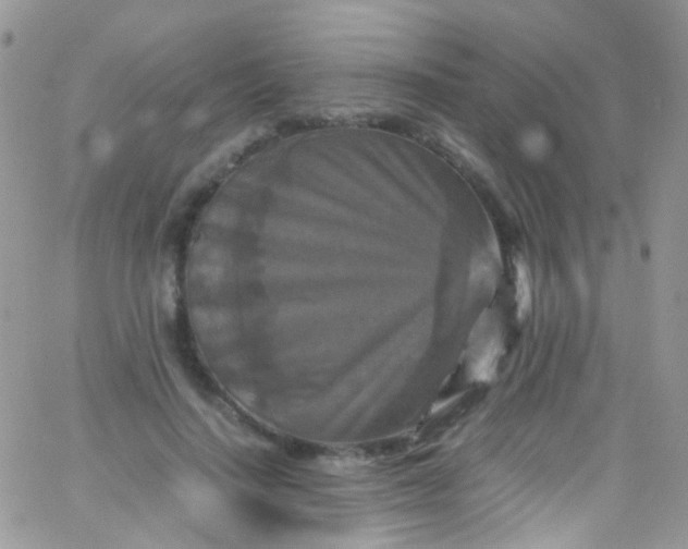 X0000066000644200603172206