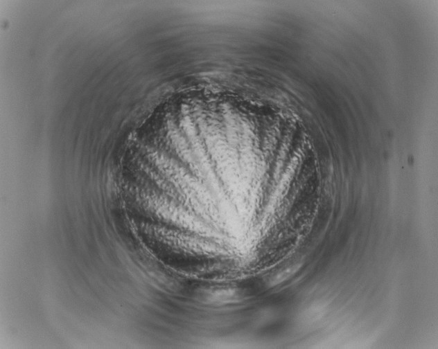 X0000066000651200603172206
