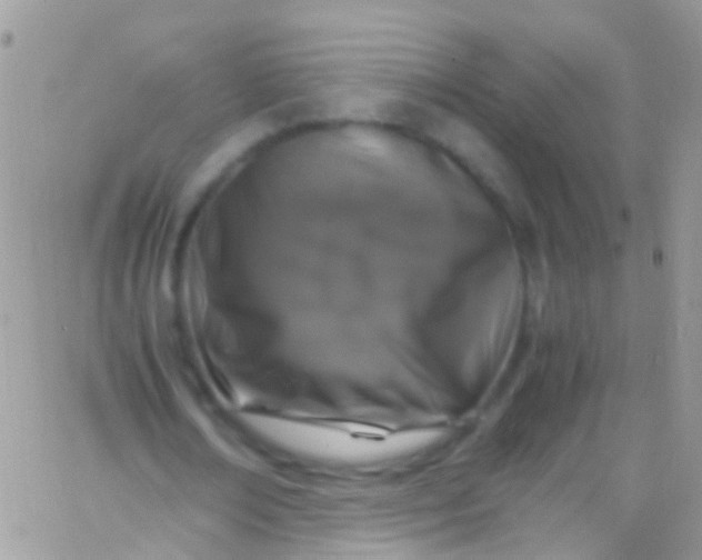 X0000066000674200603172206
