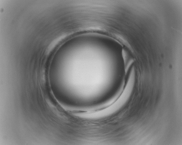 X0000066000676200603172206