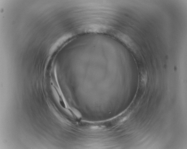 X0000066000678200603172206