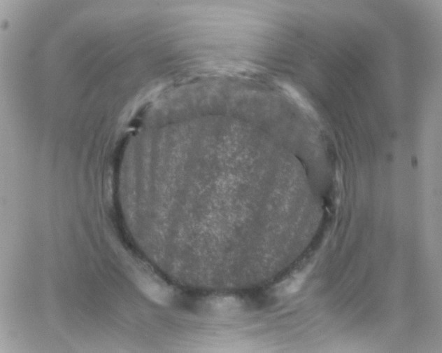 X0000066000685200603172206