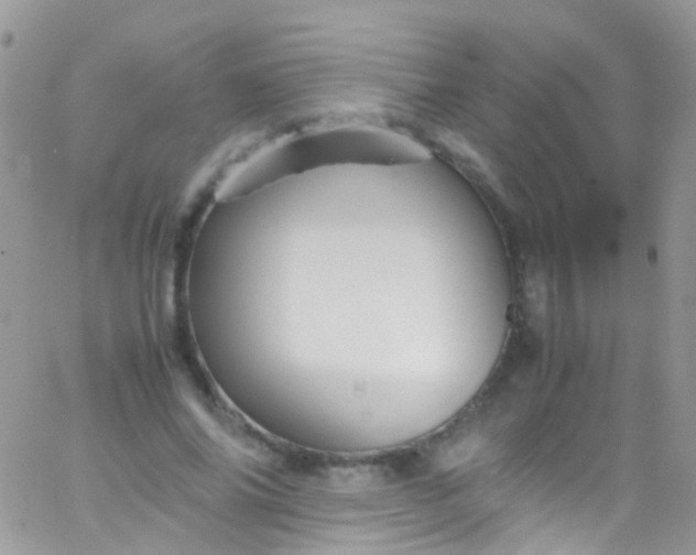 X0000066000686200603172206