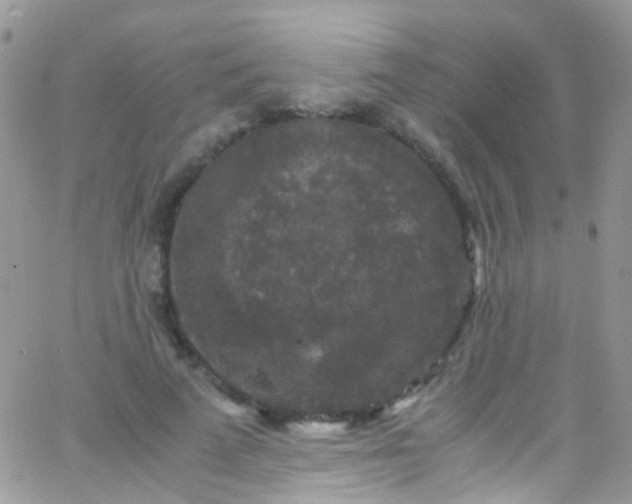 X0000066000689200603172206