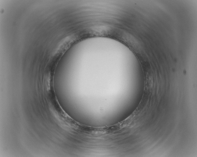 X0000066000694200603172206