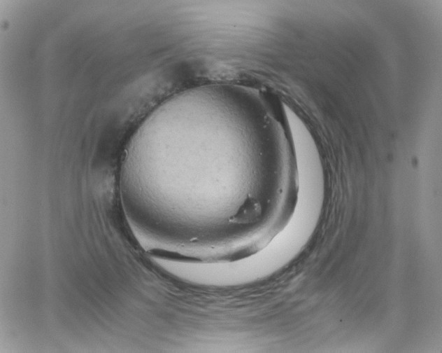 X0000066000697200603172206