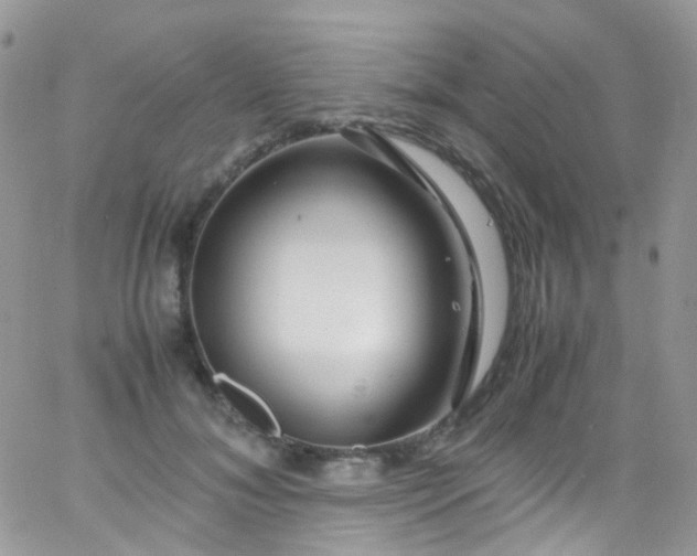 X0000066000700200603172205