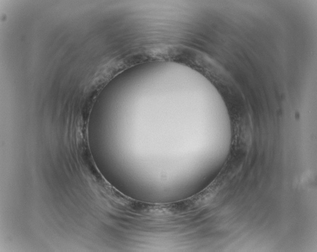 X0000066000702200603172205