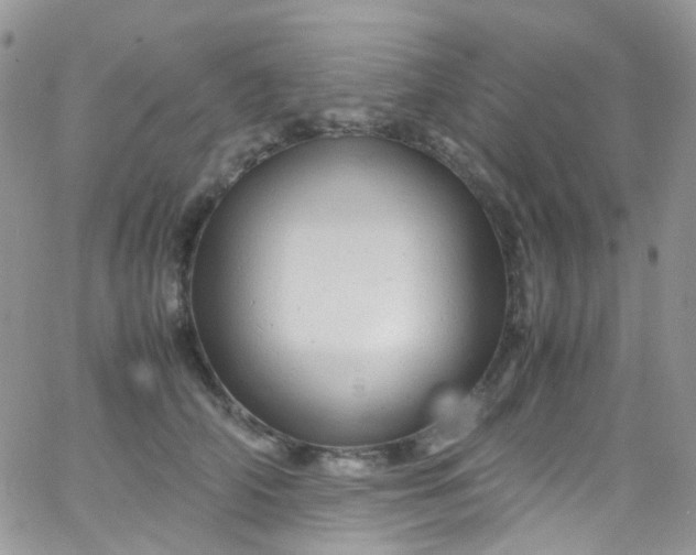 X0000066000706200603172205