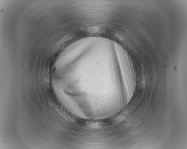 X0000066000710200603172205