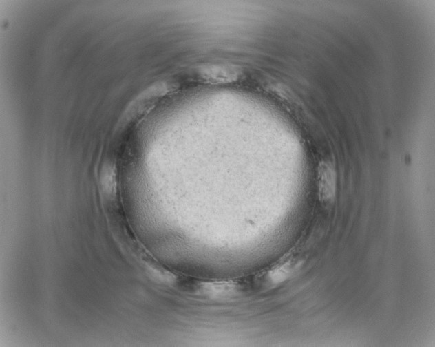 X0000066000713200603172205