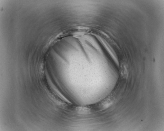 X0000066000714200603172205