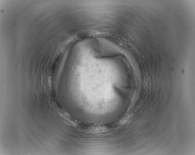 X0000066000716200603172205