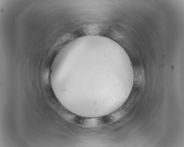 X0000066000717200603172205