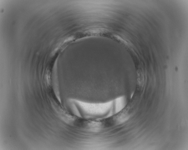 X0000066000718200603172205