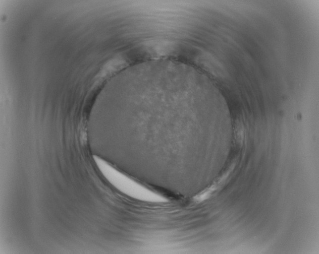 X0000066000719200603172205