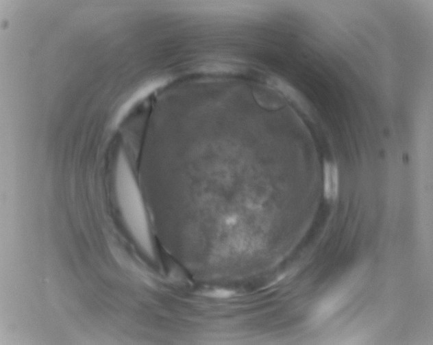 X0000066000723200603172204