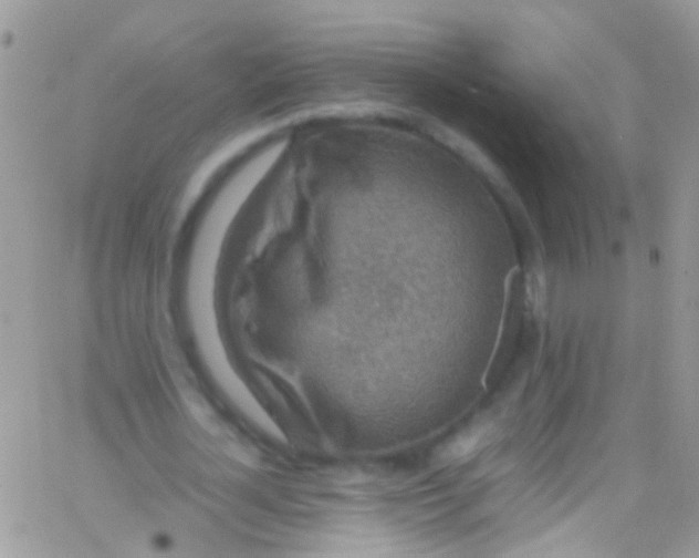 X0000066000724200603172204