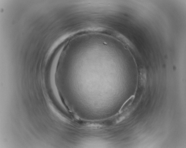 X0000066000726200603172204