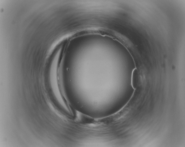 X0000066000728200603172204