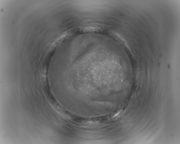 X0000066000737200603172205