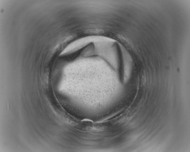 X0000066000739200603172205