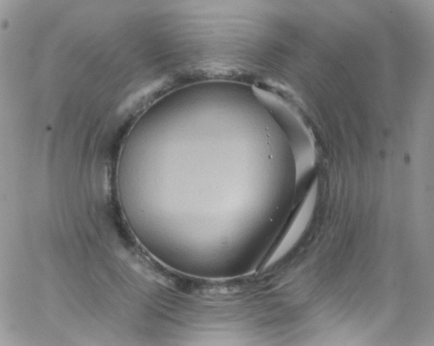 X0000066000740200603172205