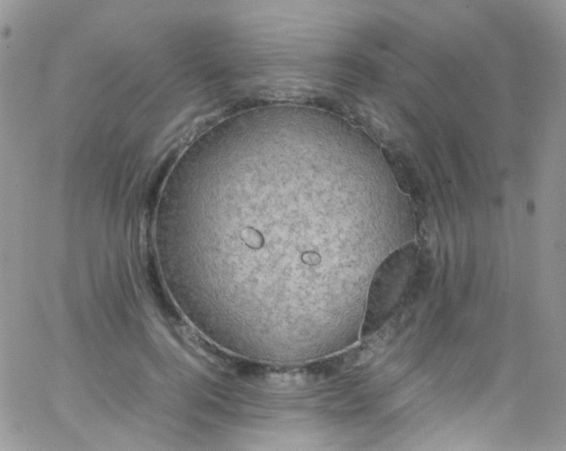 X0000066000744200603172205