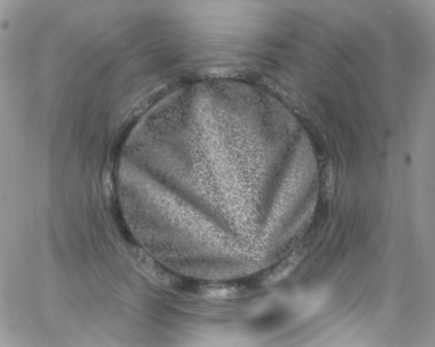 X0000066000746200603172205
