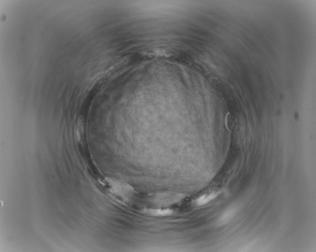 X0000066000747200603172205