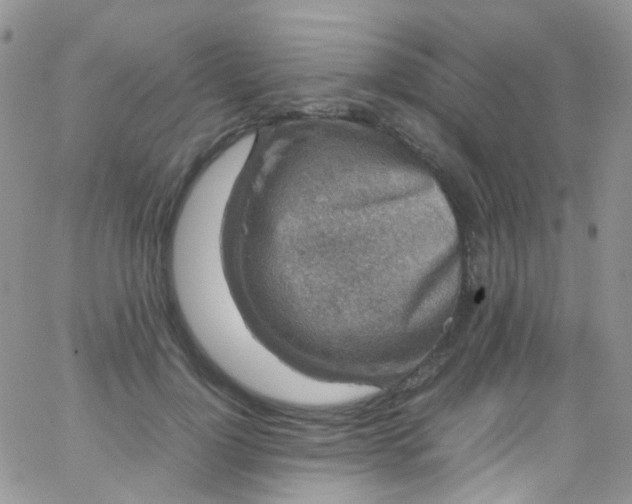 X0000066000748200603172205