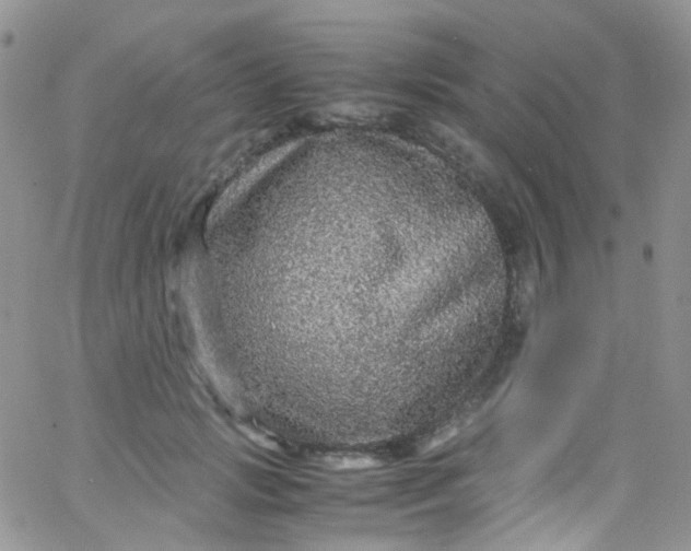 X0000066000749200603172205