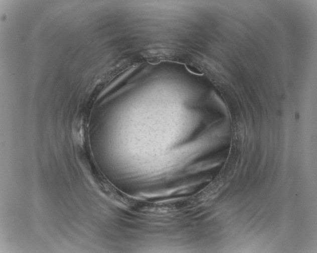 X0000066000751200603172205