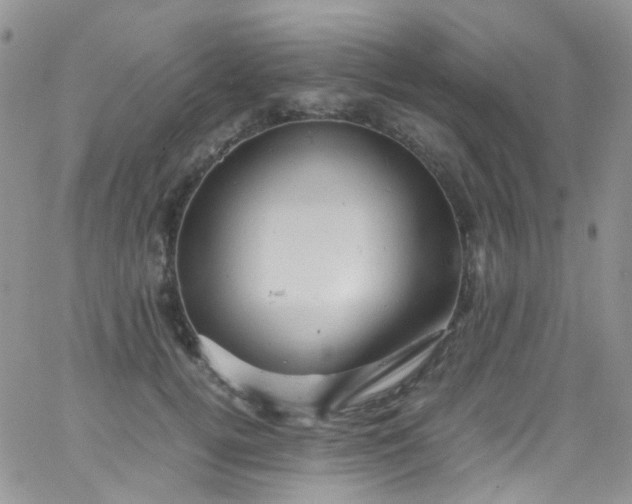 X0000066000752200603172205