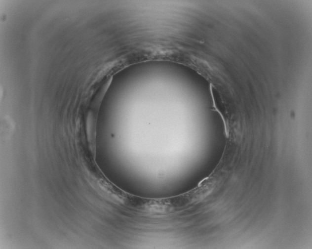 X0000066000756200603172205