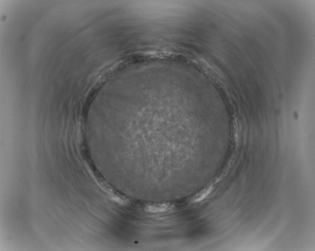 X0000066000757200603172205