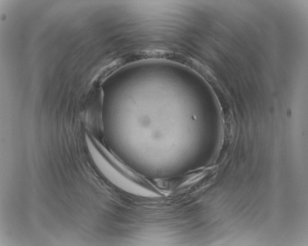 X0000066000762200603172205