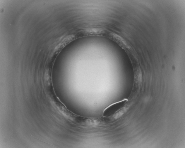 X0000066000764200603172205