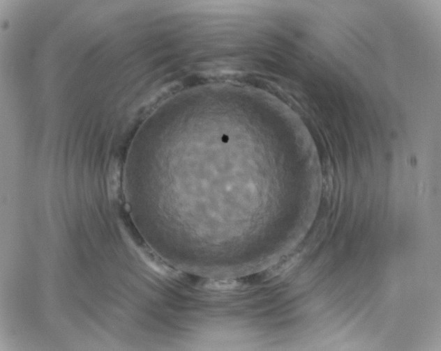 X0000066000767200603172205