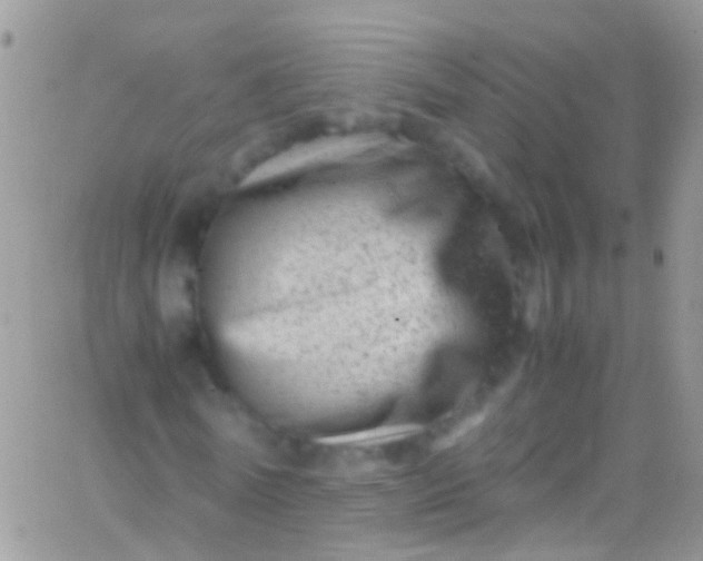 X0000066000770200603172204