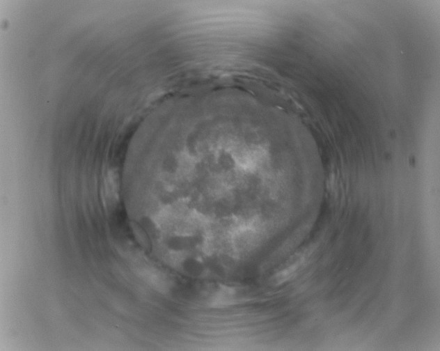 X0000066000772200603172204