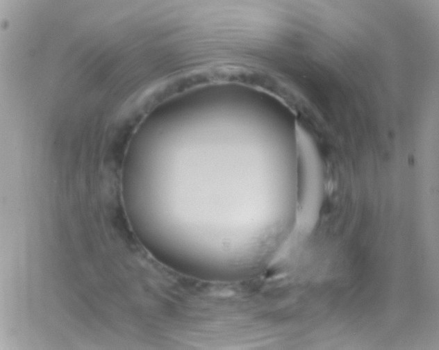 X0000066000773200603172204