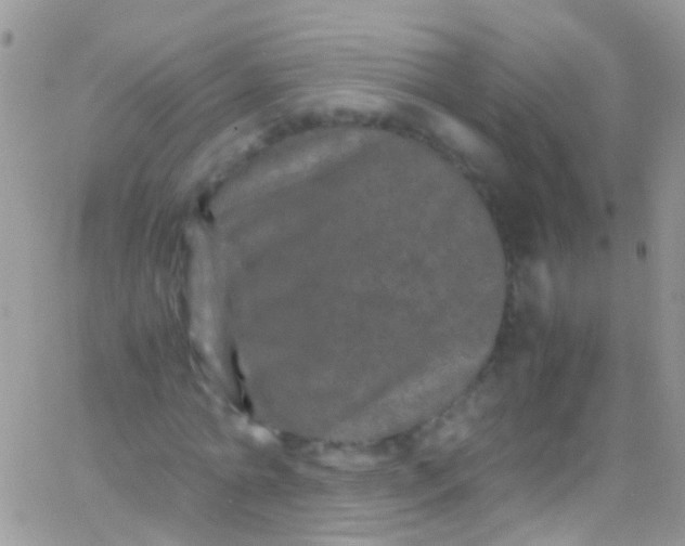 X0000066000774200603172204