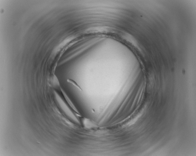 X0000066000778200603172204