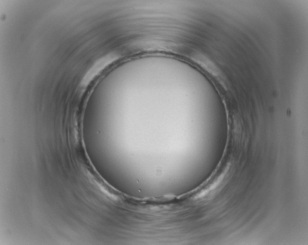 X0000066000782200603172204